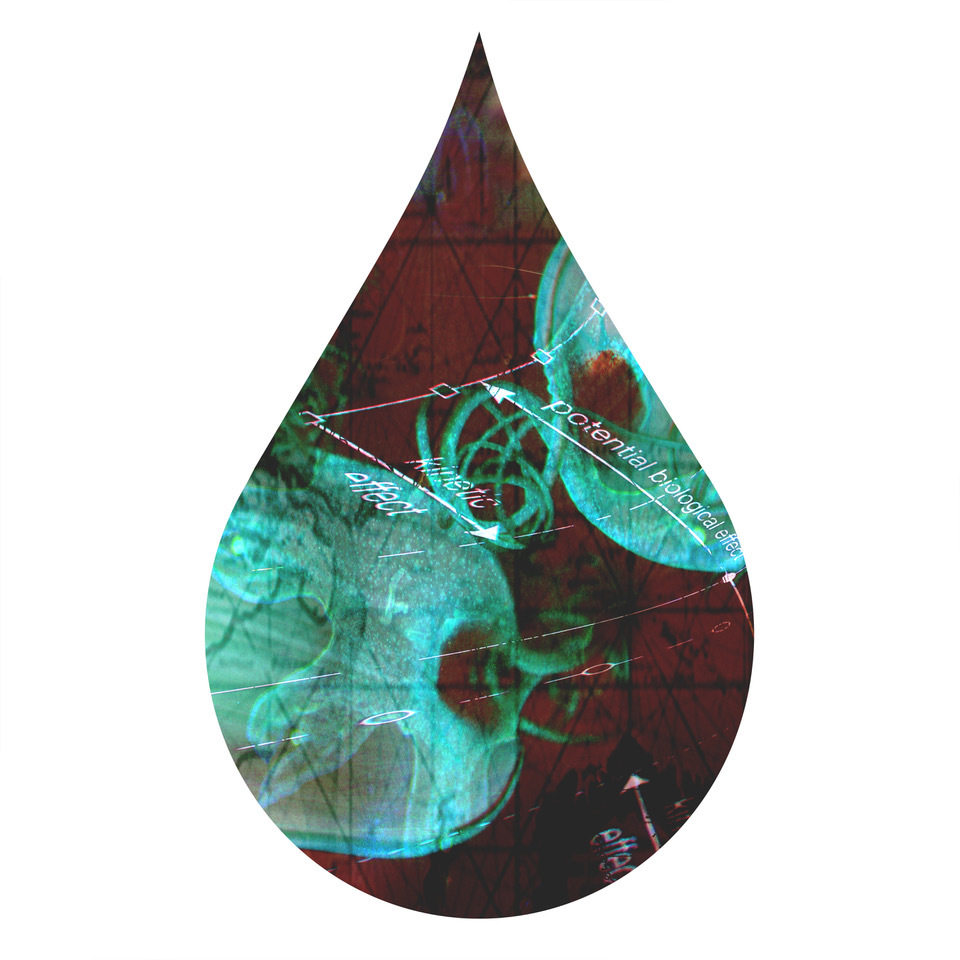 cc16, chromogenic print mounted to plexiglass, 10 x 6 inches