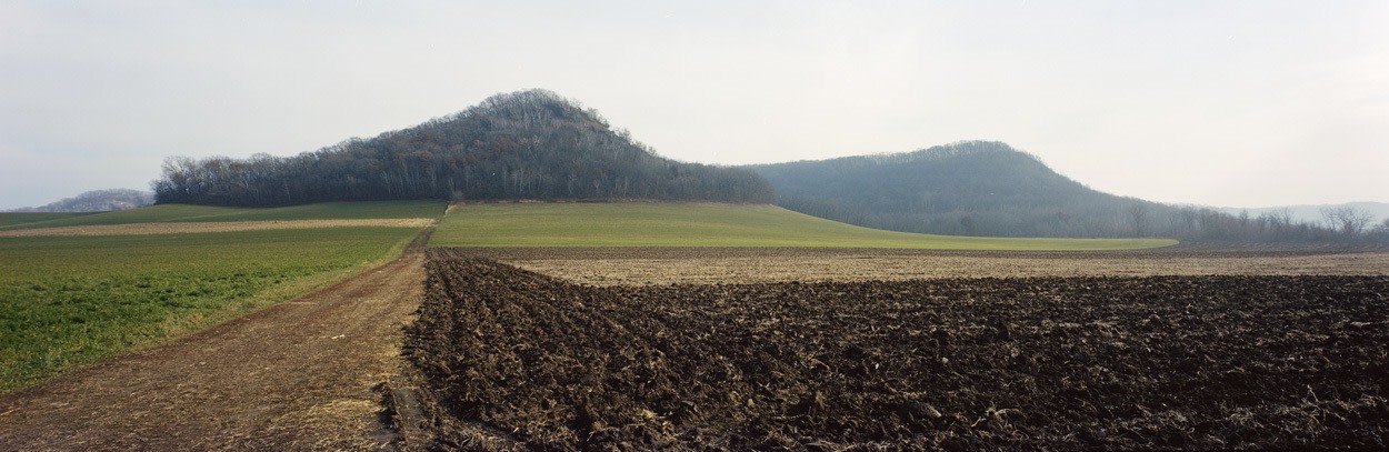 Fields, Trempelau County, Wisconsin