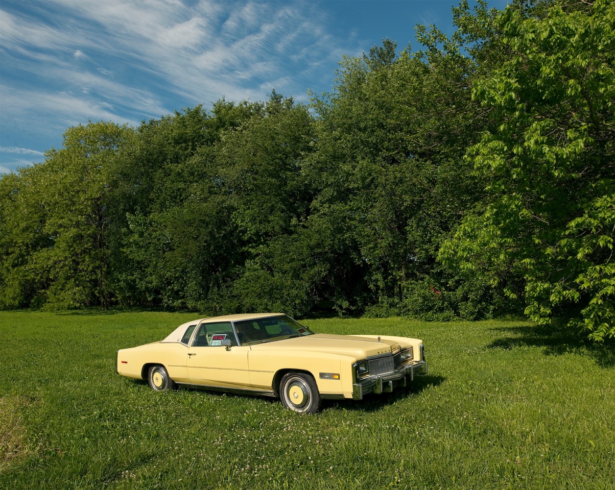 For Sale, Indianapolis, Indiana, 2010