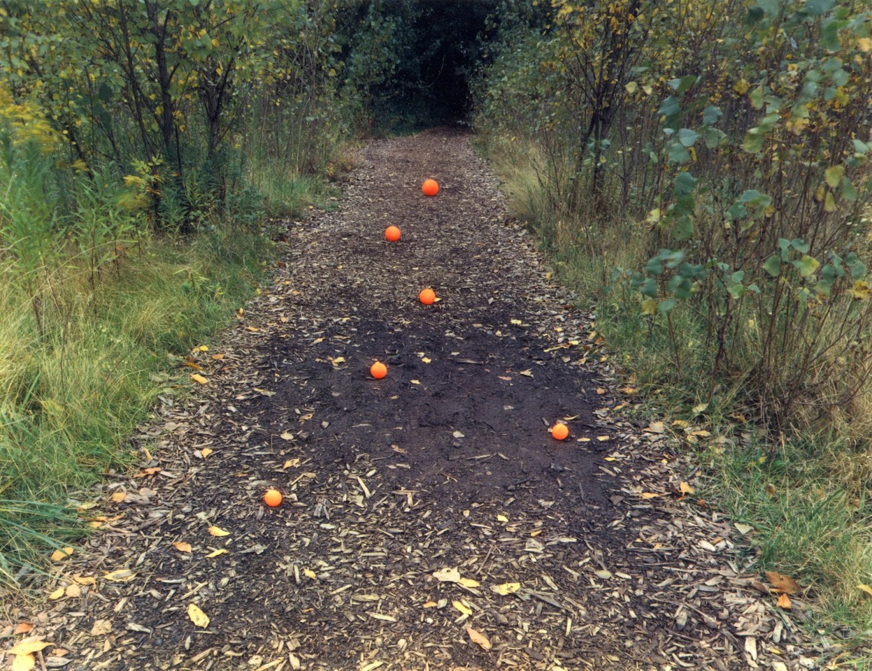 Six Oranges, Buffalo, New York, 1975