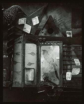 Olivia Parker, Blackbird Aviary, 1981, 