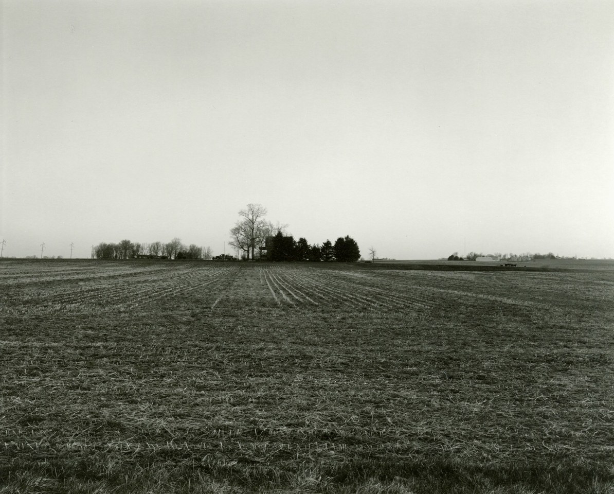 Untitled, from Farm Landscapes, 2011, gelatin silver contact print, 8 x 10 inches