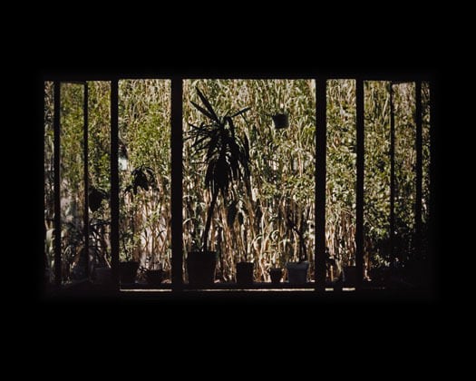 1511 Kit Carson Avenue, Albuquerque, NM, 1980