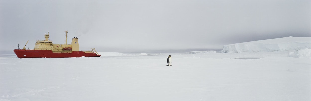 Emperor Penguin, the RVIB Nathaniel B. Palmer, Amundsen Sea, Southern Ocean, Anarctica