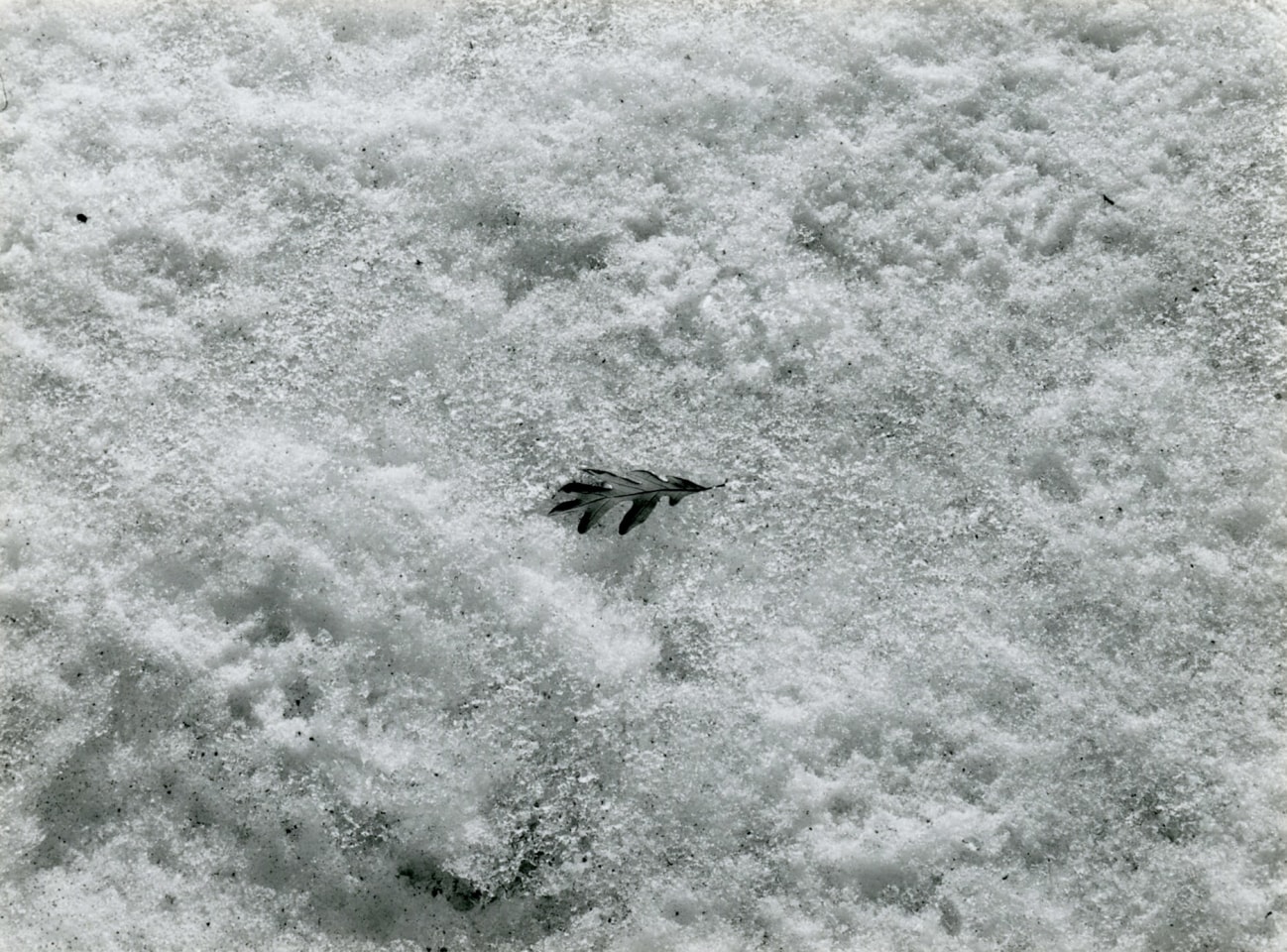 Harry Callahan, Detroit&nbsp;