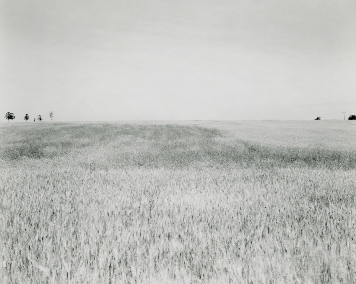 Untitled, from&nbsp;Illinios Landscapes, 1980, gelatin silver contact print, 8 x 10 inches