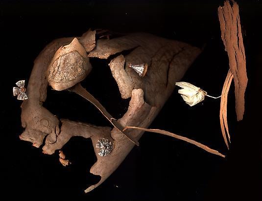 Untitled, giclée print