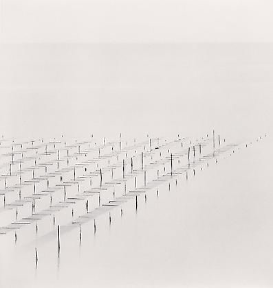 Floating Seaweed, Jeung-do, Shinan, South Korea, 2012