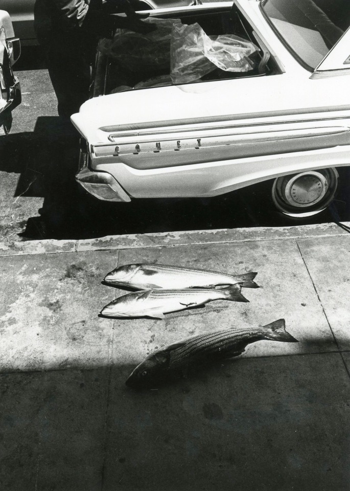 San Francisco, c. 1970s