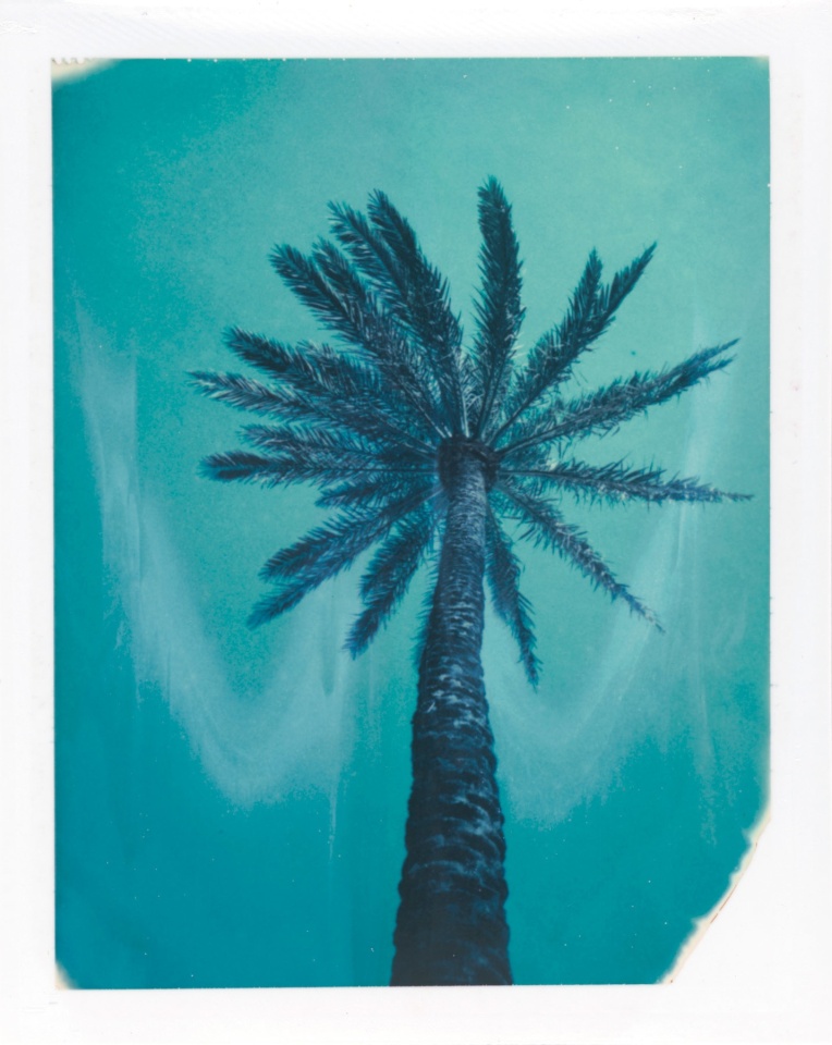 Gulf Stream, FL, 2023