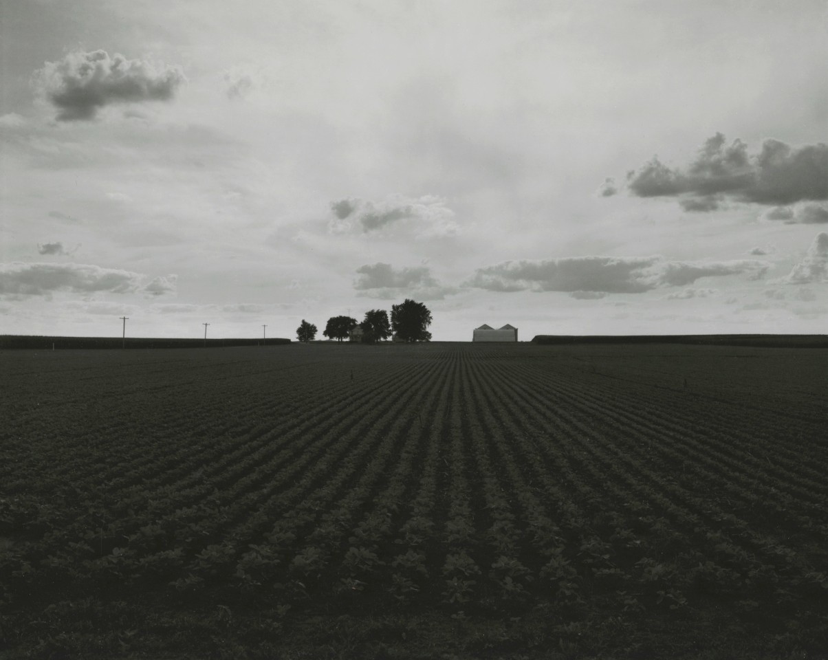 Untitled, from Farm Landscapes, 2009, gelatin silver contact print, 8 x 10 inches