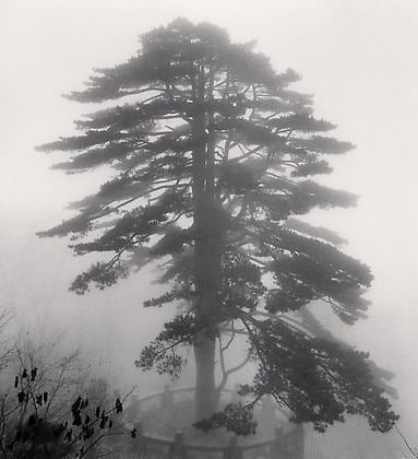 Huangshan Mountains, Study 7, Anhui, China, 2008