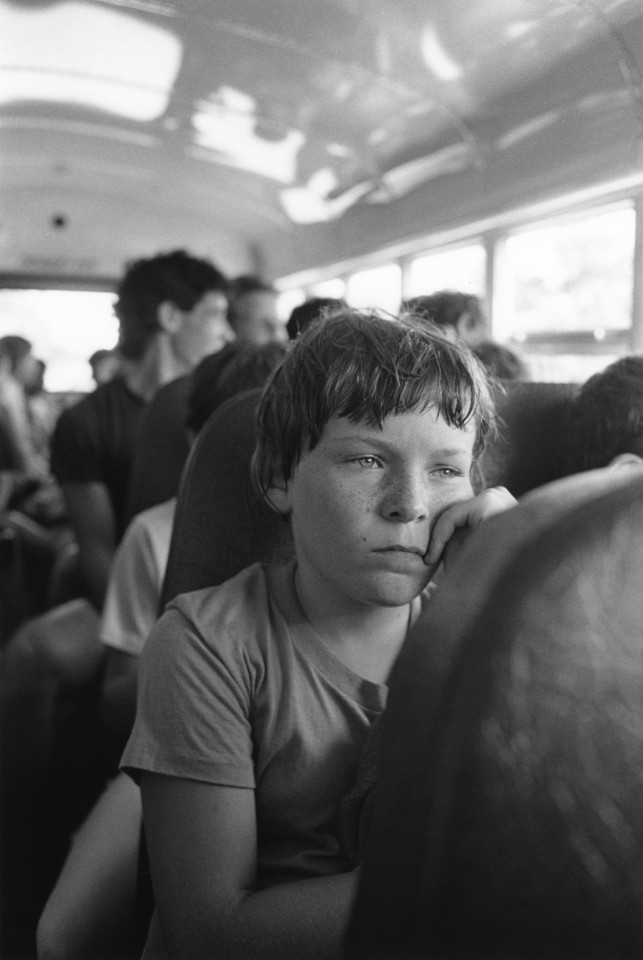 アート・デザイン・音楽 Summer Camp Mark Steinmetz SUMMER CAMP by Mark Steinmetz | BOOKNERD