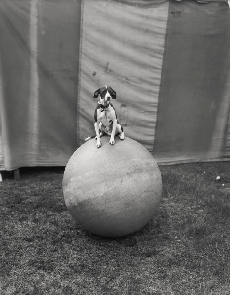 Morris, Hawksbury, Ontario