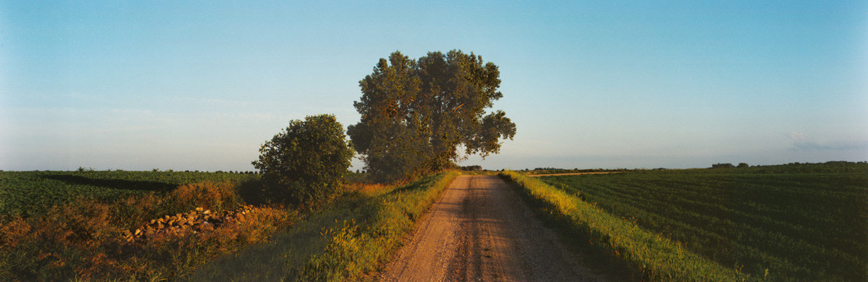Farm Road, Lyon County, Minnesota 