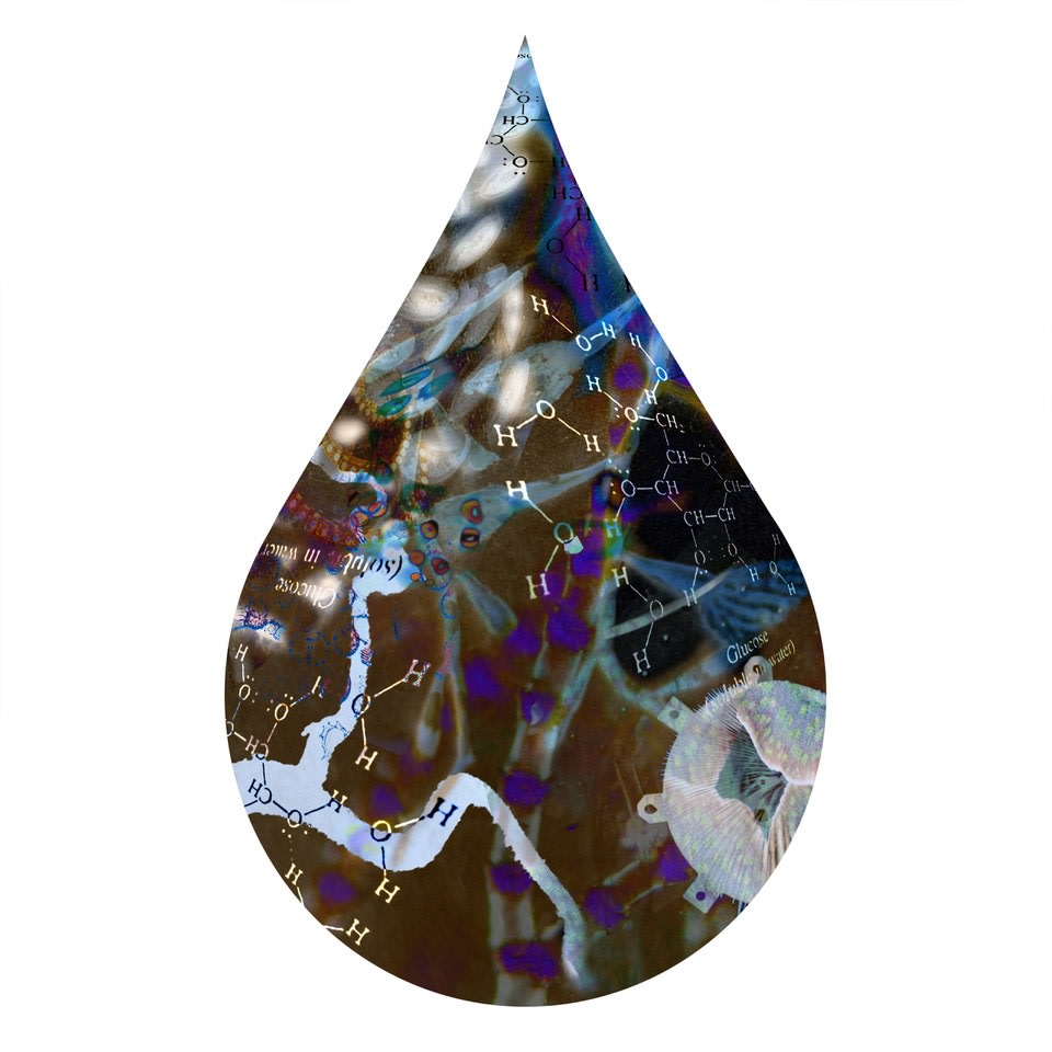 cc43, chromogenic print mounted to plexiglass, 10 x 6 inches