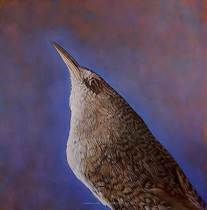 Kate Breakey, Canyon Wren, hand colored gelatin silver print