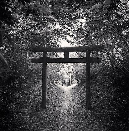 Torii Gates, Bentendake, Koyasan, Japan, 2006