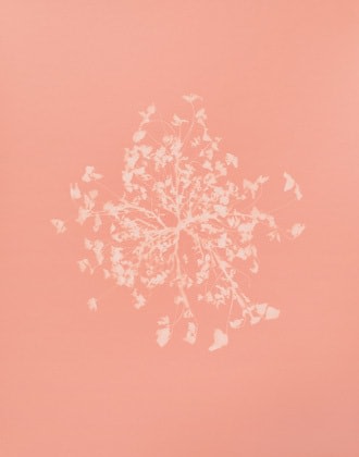 Tracing Shadow #86, 2009