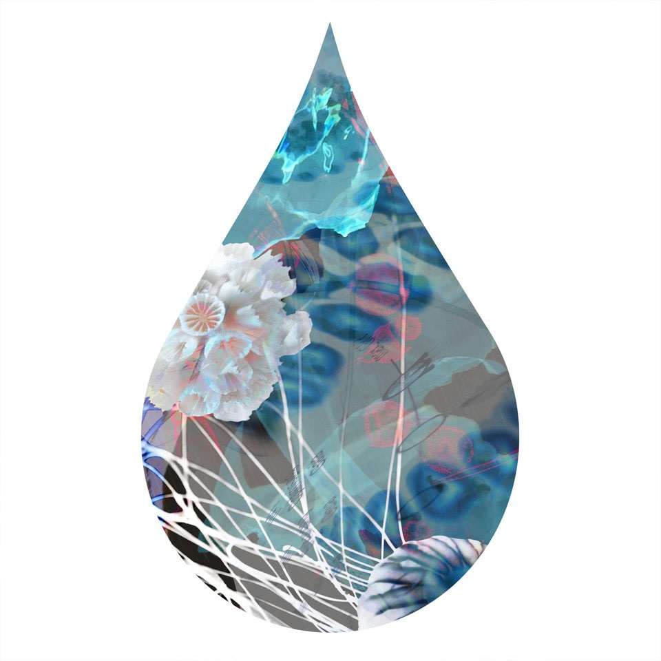 cc32, chromogenic print mounted to plexiglass, 12 x 8 inches