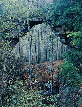 Gray's Arch, Red River Gorge, Kentucky, 1968