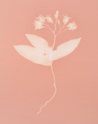 Tracing Shadows #130, 2013