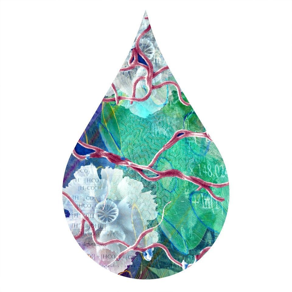 cc71, chromogenic print mounted to plexiglass, 14 x 10 inches