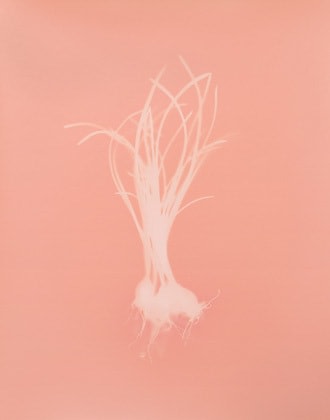 Tracing Shadows #85, 2009