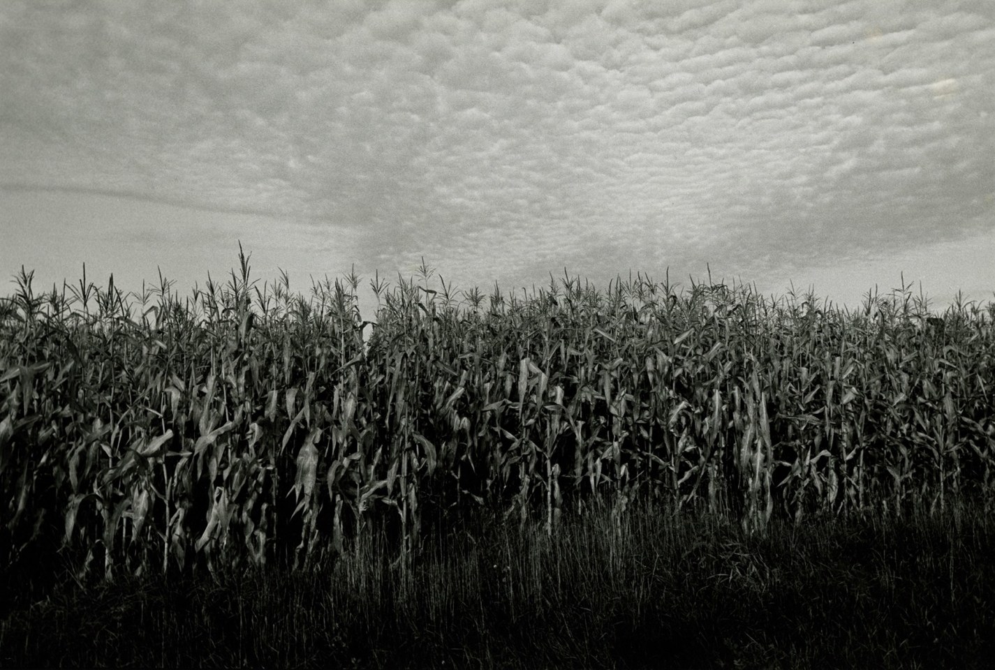 Midwest Diary #74432-28, c. 1974, vintage gelatin silver print