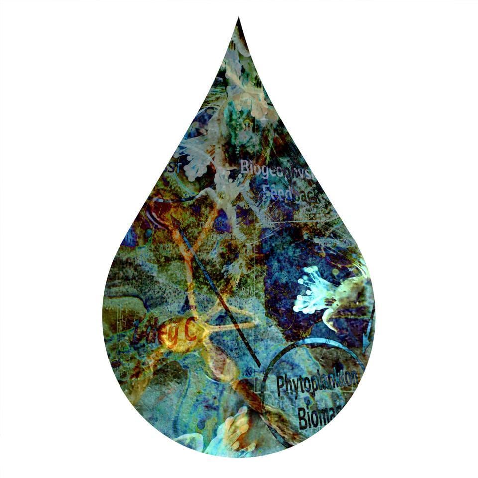 cc37, chromogenic print mounted to plexiglass, 16 x 11 inches