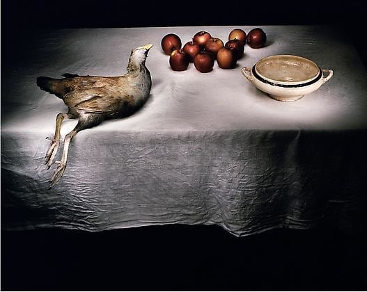 Swamp hen with apples, 2005