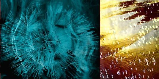 F-10, 2008, chromogenic print mounted to aluminum