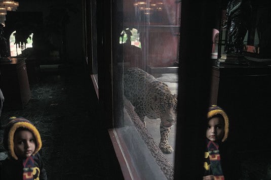 Tijuana, B.C., 1995, Zoo at the racetrack