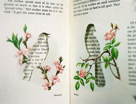 Thomas Allen, Migrate, 2004, chromogenic print