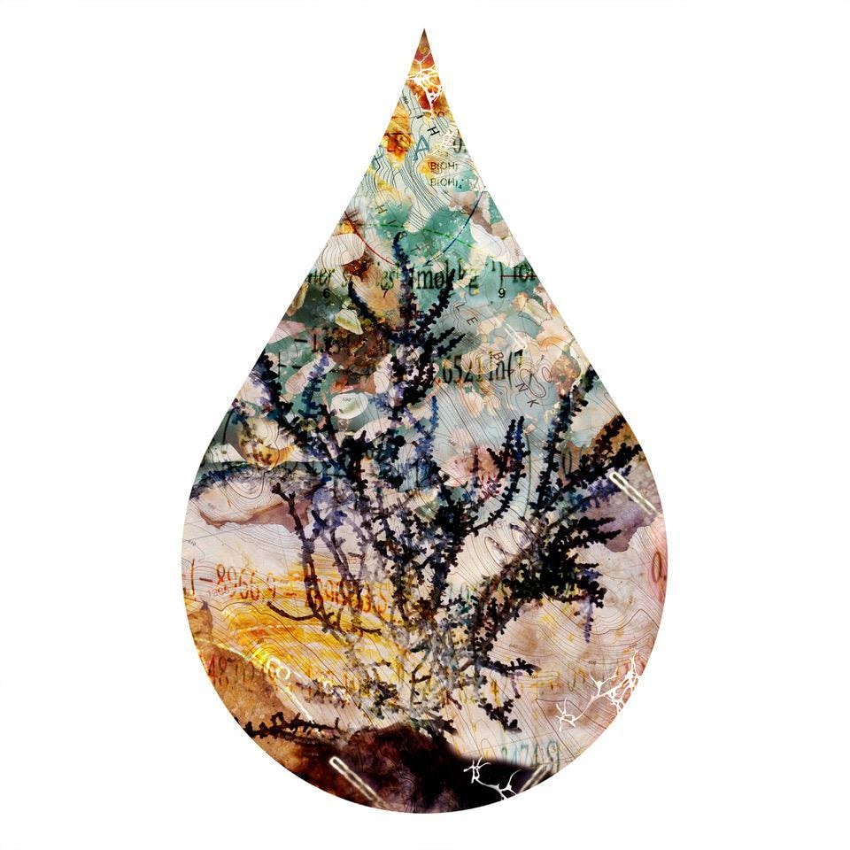 cc70, chromogenic print mounted to plexiglass, 12 x 8 inches