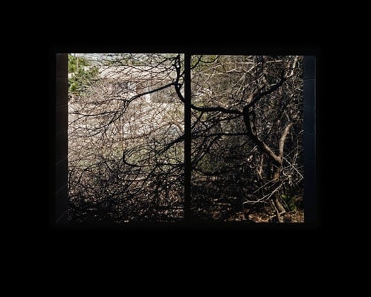 1901 North West 55th Terrace, Gainesville, FL, 1979