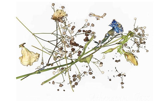 Untitled, giclée print