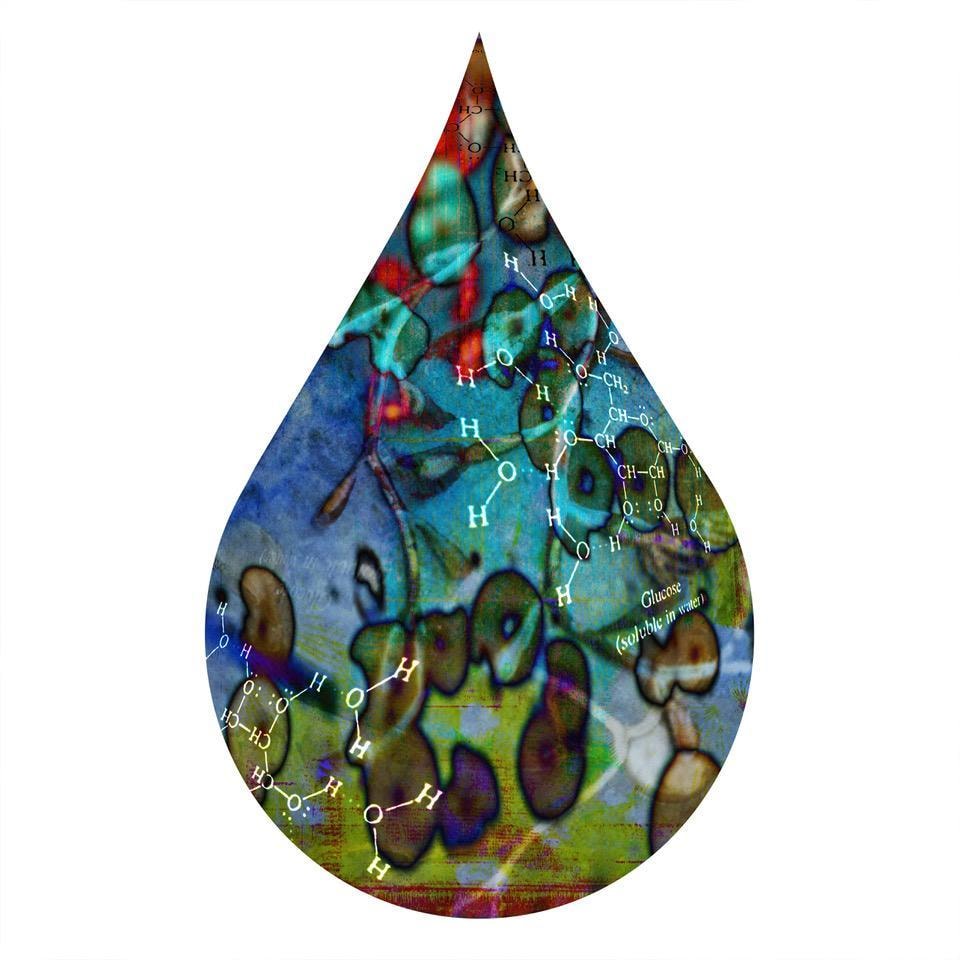 cc63, chromogenic print mounted to plexiglass, 16 x 11 inches