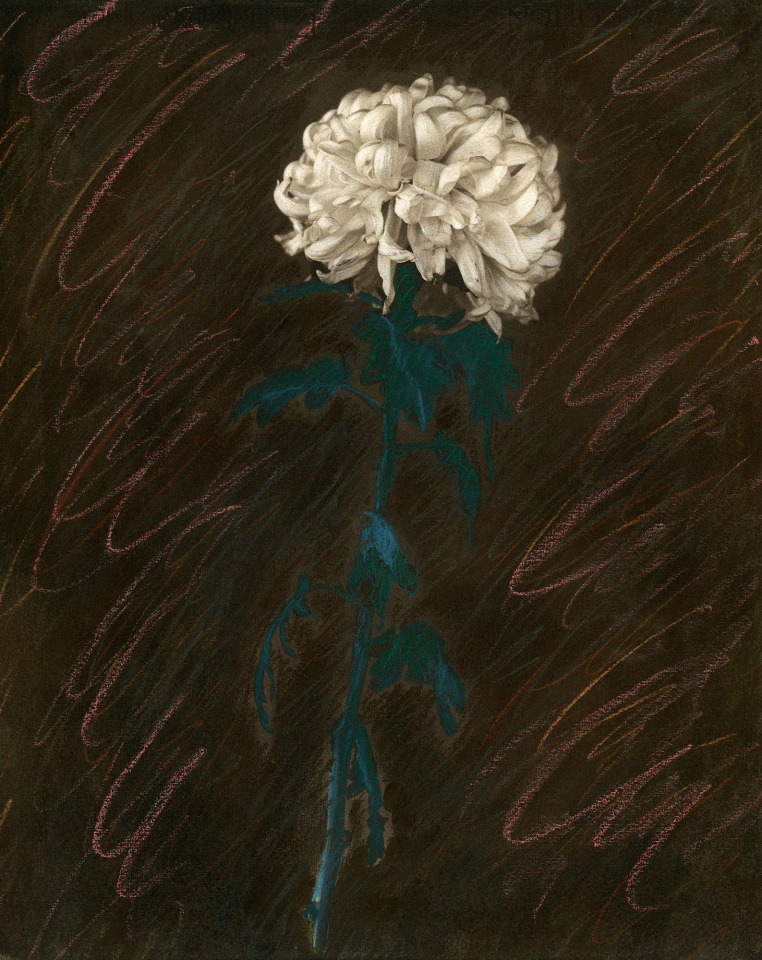 Betty Hahn, Morning Mum