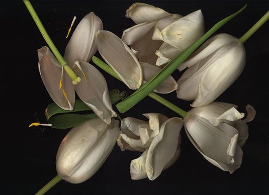 Untitled, giclée print