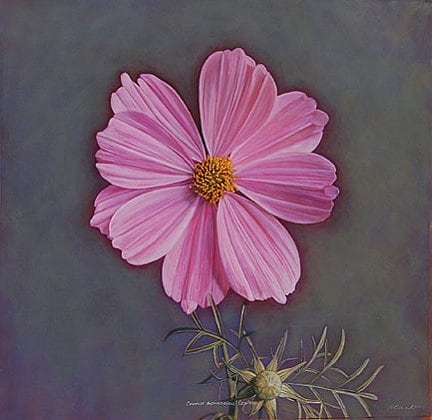 Cosmos II, hand-colored gelatin silver print, 32 x 32 inches