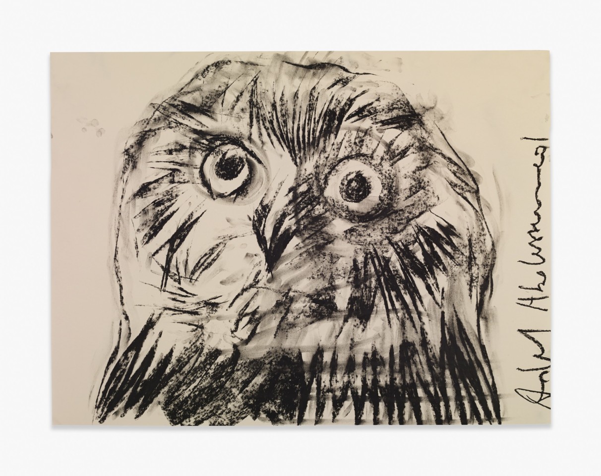 Adel Abdessemed Owl, 2015