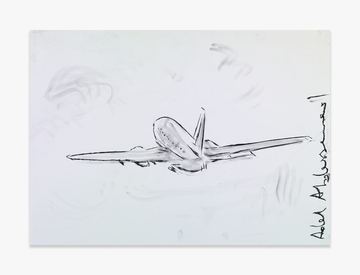 Adel Abdessemed Plane, 2015