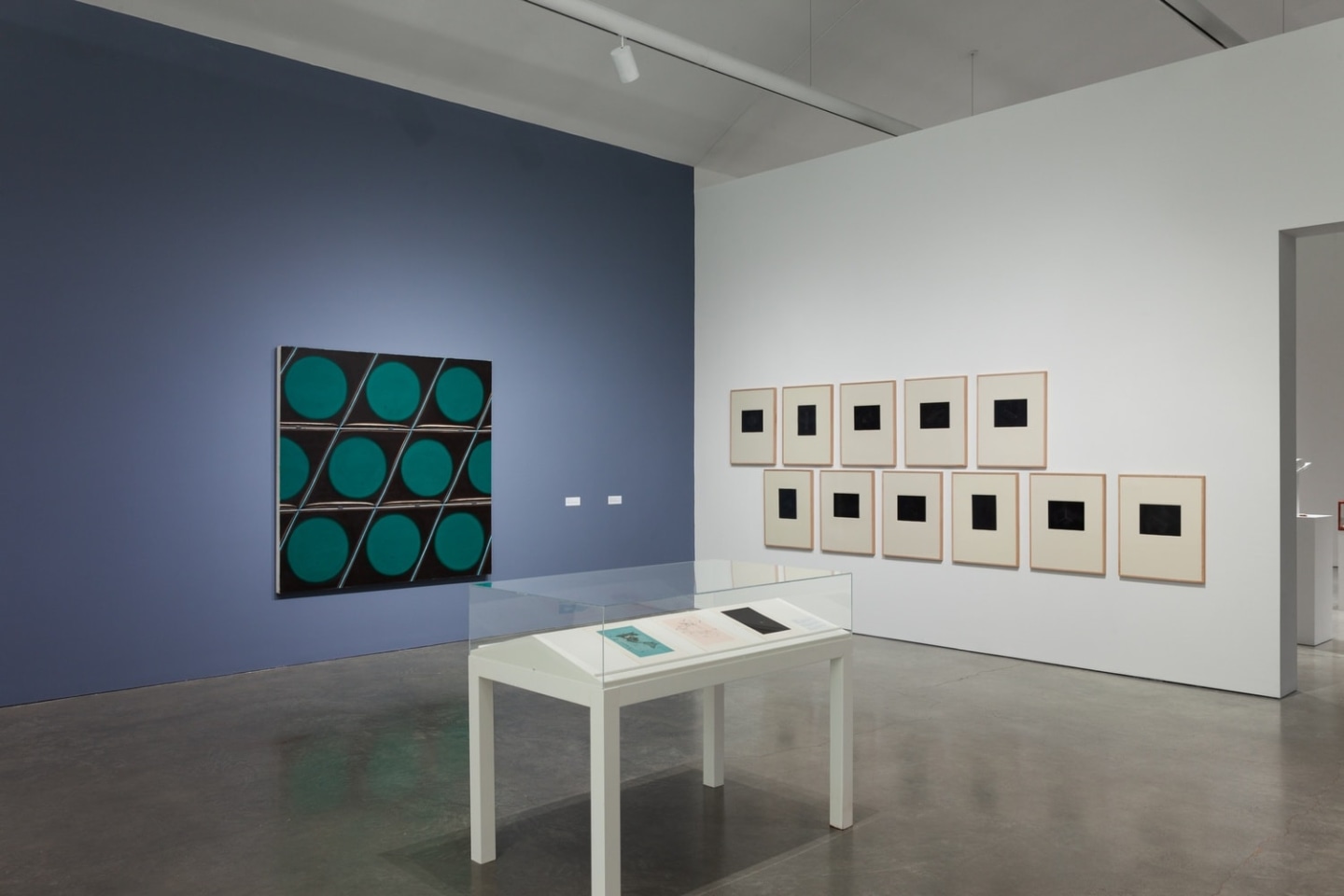 Installation image of the exhibition Horizons are not Infinite featuring Roger Brown at the Hessel Museum of Art