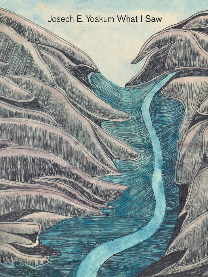 Joseph E. Yoakum: What I Saw Exhibition Catalogue