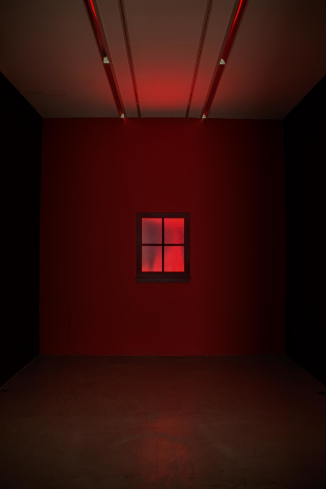 Installation view of O&ugrave; est Jack Goldstein?, curated by Adam Lindemann, Galerie Perrotin, Paris, 2013