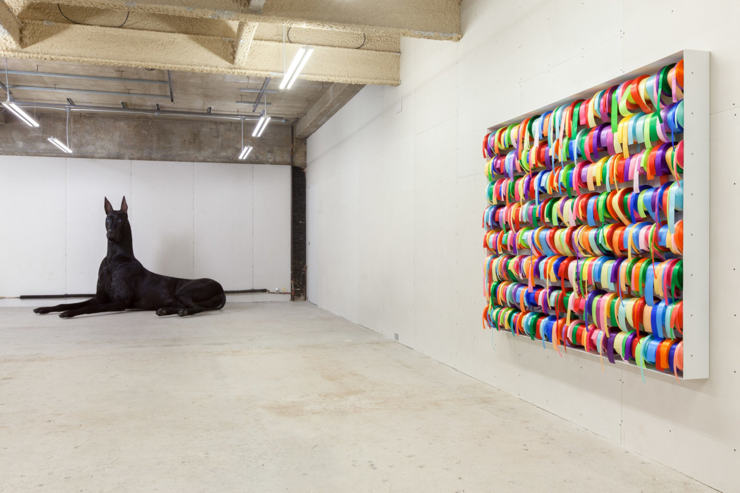 Peter Coffin Untitled (Dog) (Ribbons)