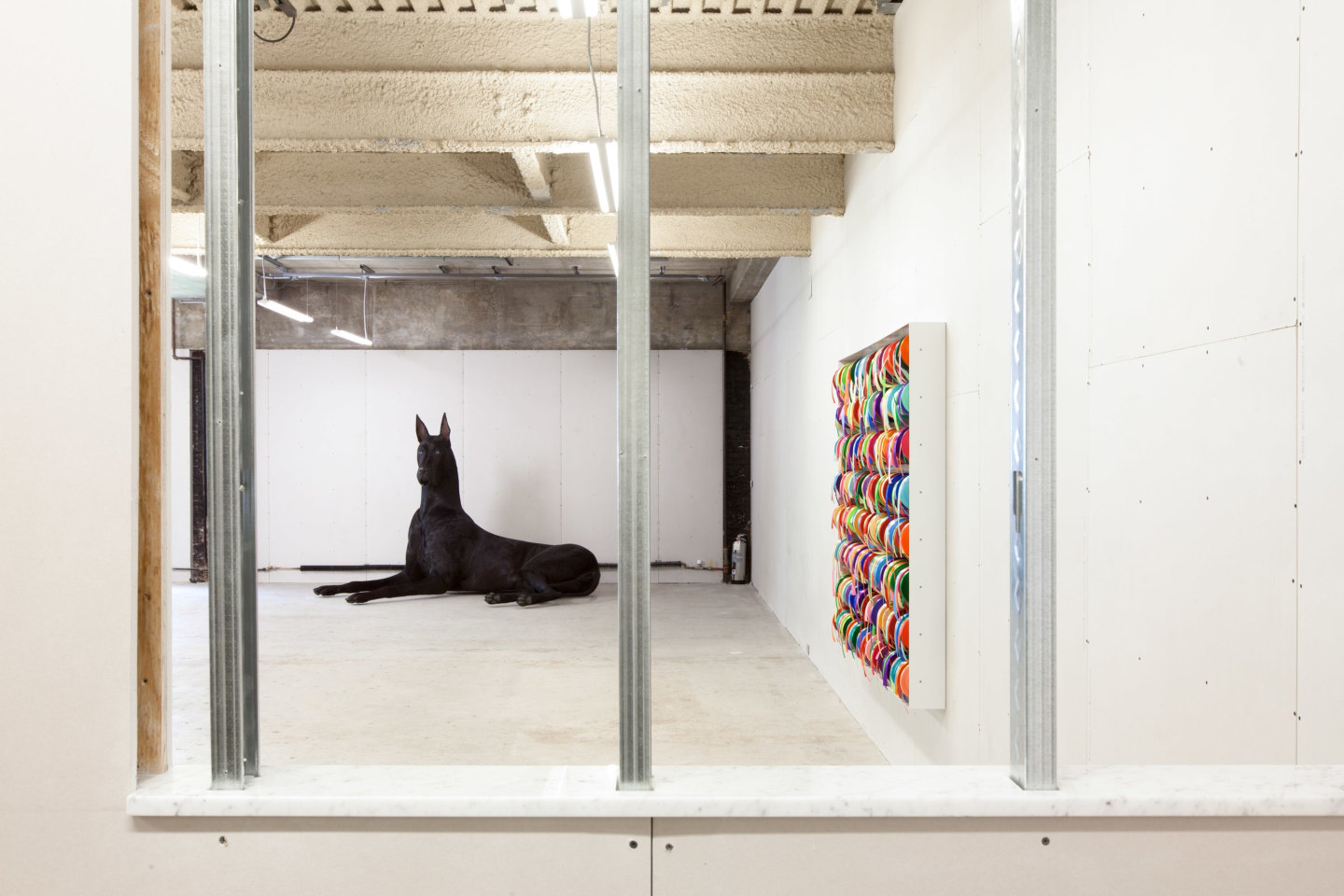 Peter Coffin - A, E, I, O, U - Exhibitions - Venus Over