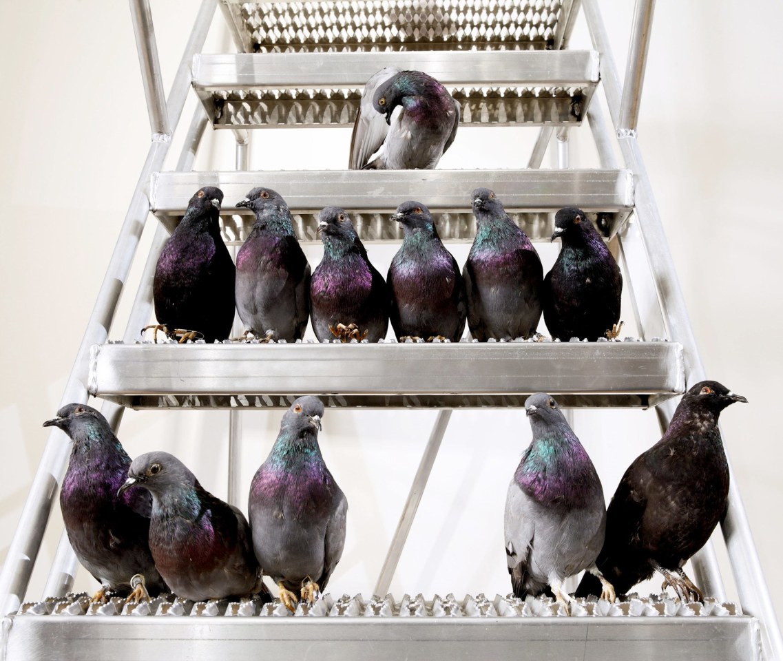 Maurizio Cattelan&rsquo;s &ldquo;Turisti&rdquo; will be roosting in New York.