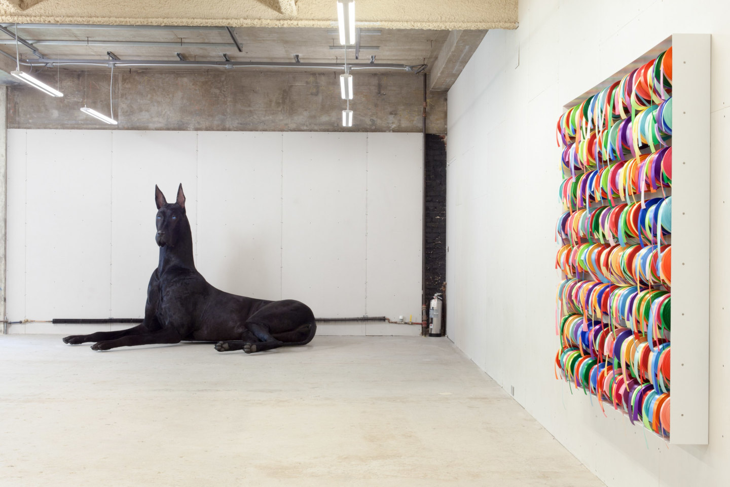 Peter Coffin - A, E, I, O, U - Exhibitions - Venus Over